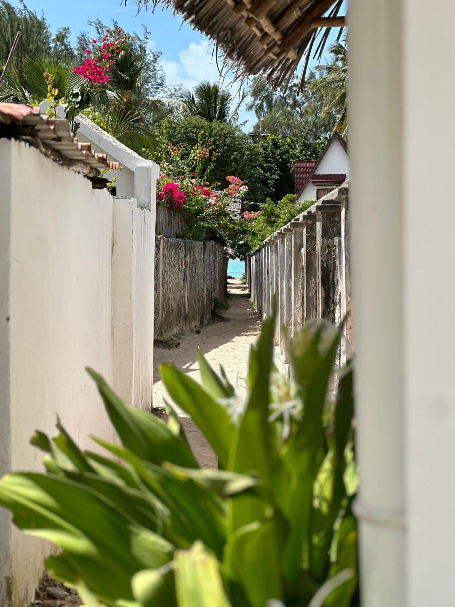 Mlango Paje Villa Boutique Ngoại thất bức ảnh