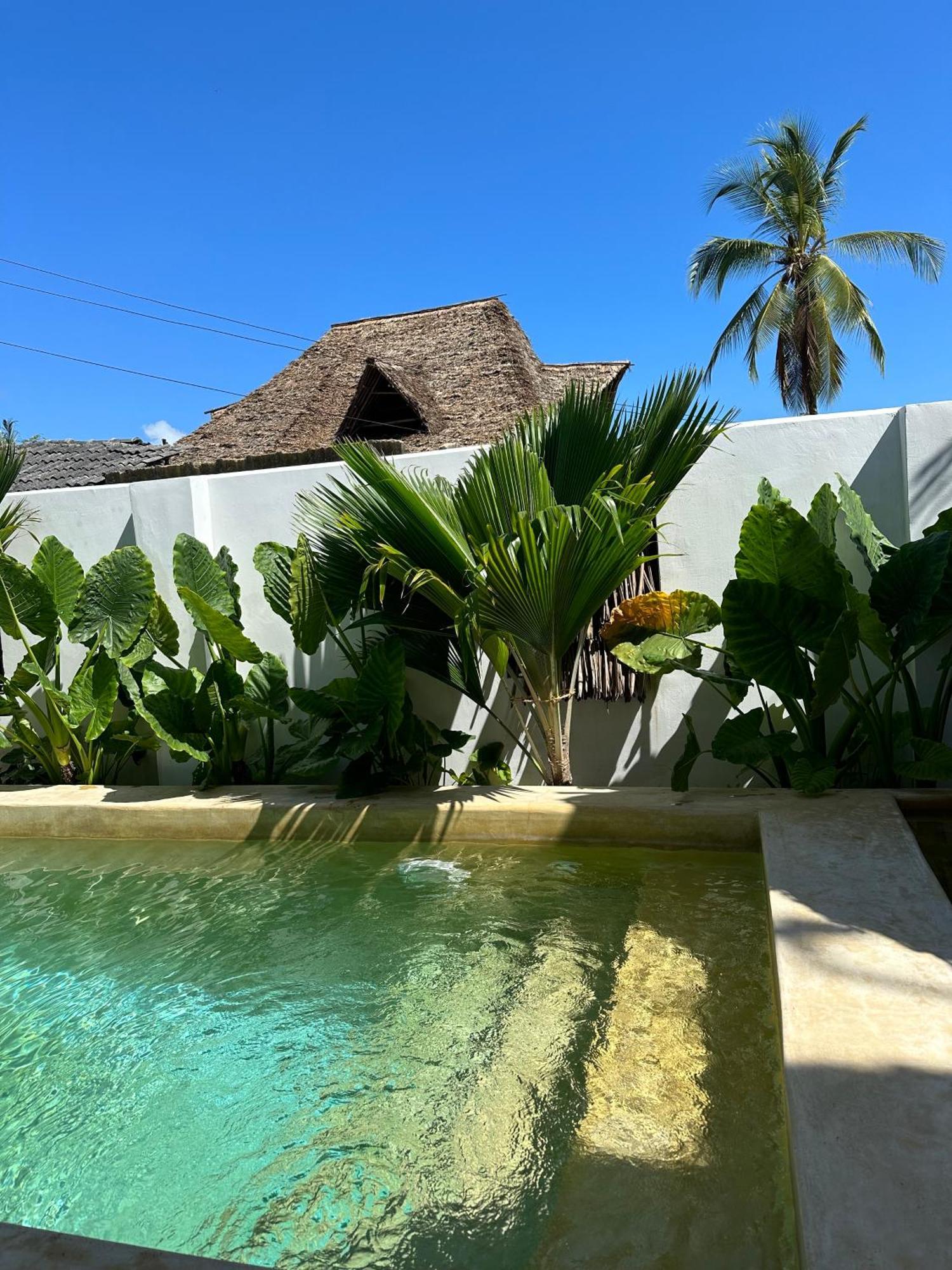 Mlango Paje Villa Boutique Ngoại thất bức ảnh