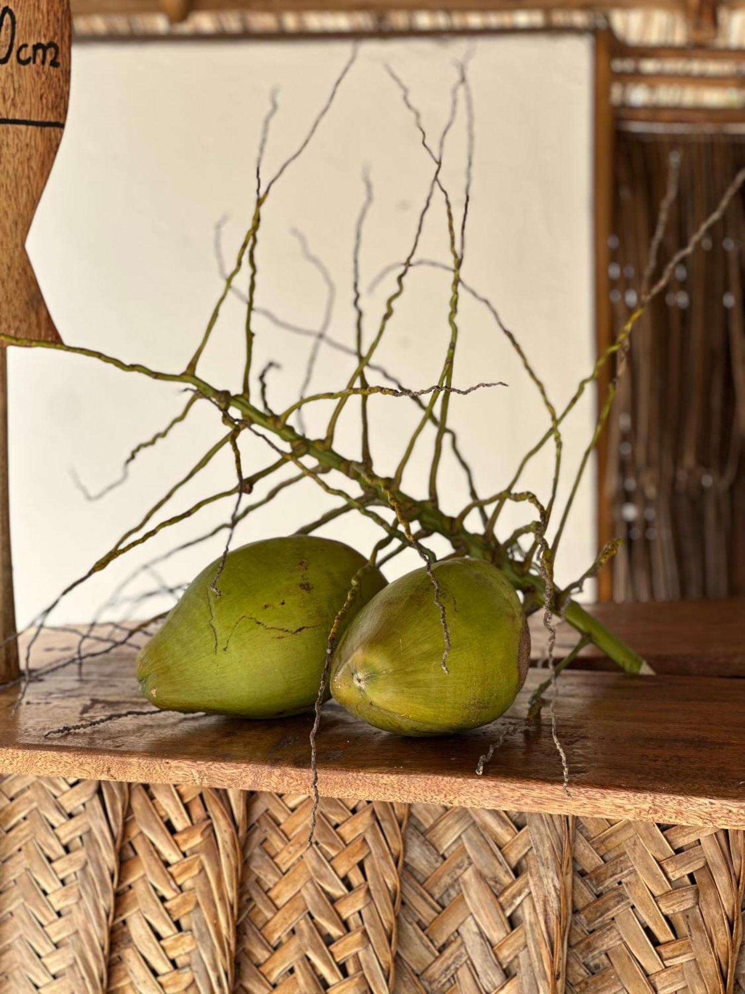 Mlango Paje Villa Boutique Ngoại thất bức ảnh